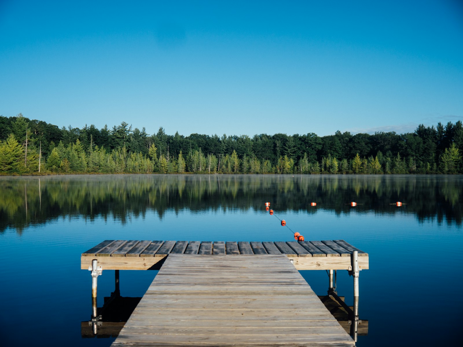 Northern lake shoreline, placeholder for program news